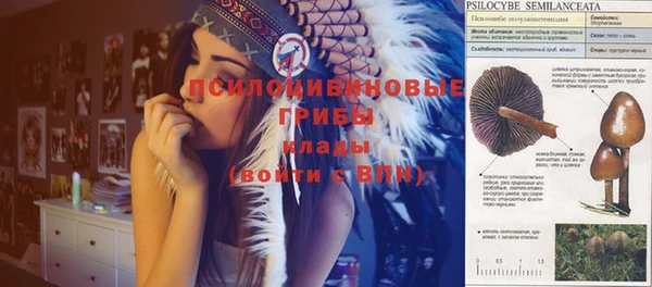 соль курить ск Алексин