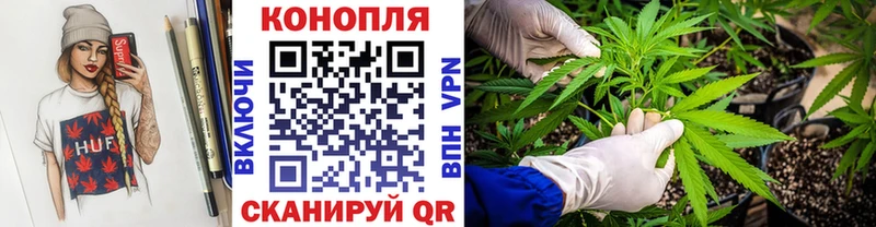 Бошки Шишки сатива Буинск
