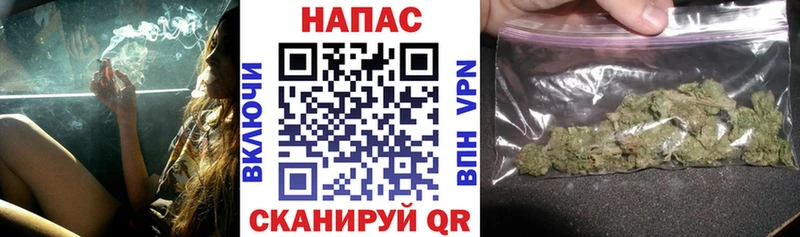 Купить где  Буинск  Конопля Bruce Banner 